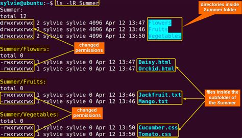 chmod directory recursive|How can I recursively change the permissions of files .